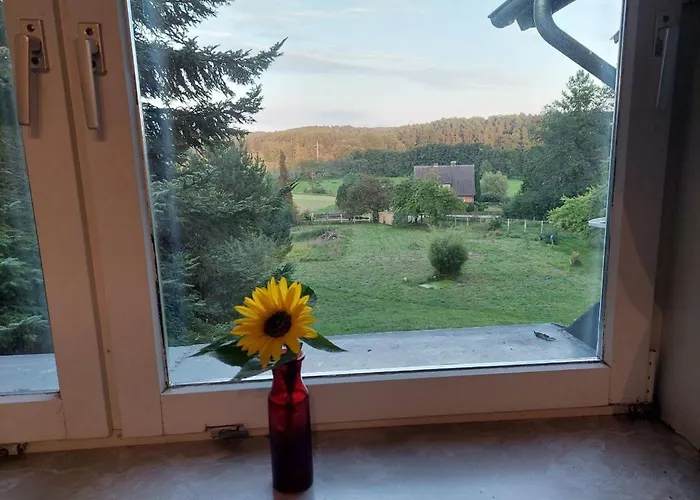 Ferienappartement Im Waldhaus Goehrde