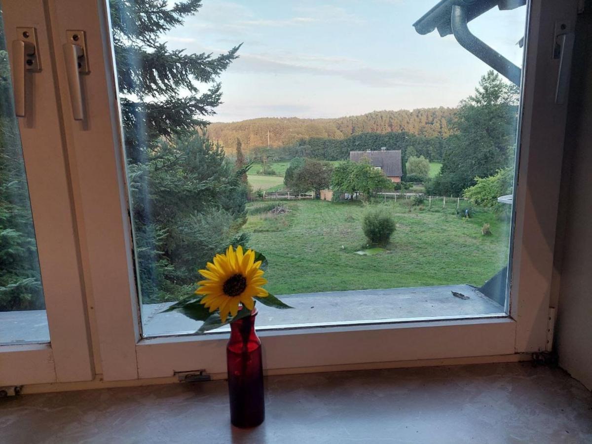 Im Waldhaus Goehrde Apartment *