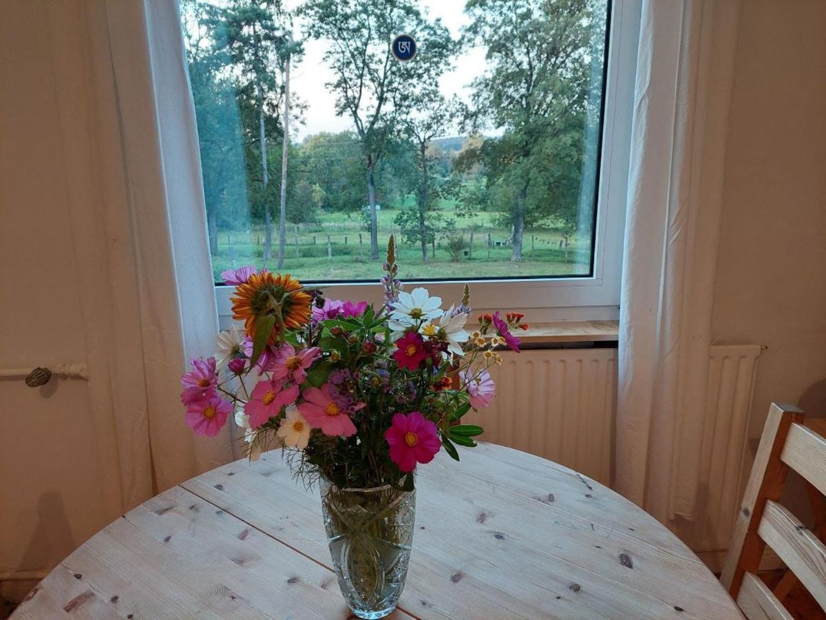 Apartment Im Waldhaus Goehrde *